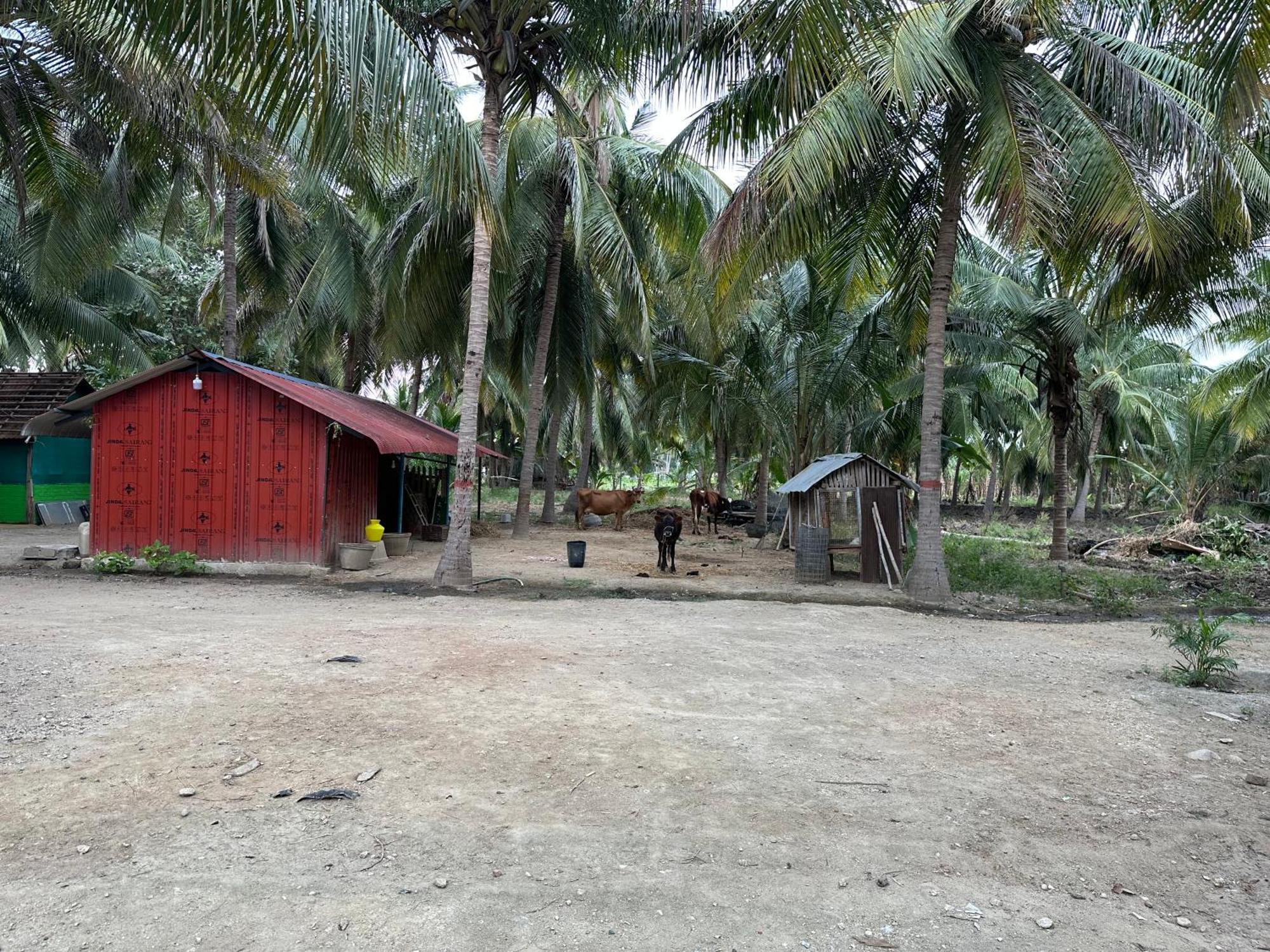 Sakthi Garden Home Stay Erode Exteriör bild